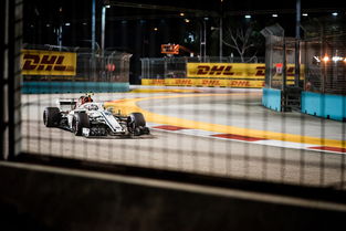 F1赛车赛场焦点！巴西队对阵韩国队，球星闪耀，全场焦点无人能挡